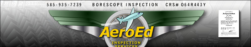 Borescope Inspection